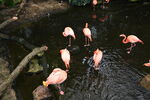 DSC_9177.JPG